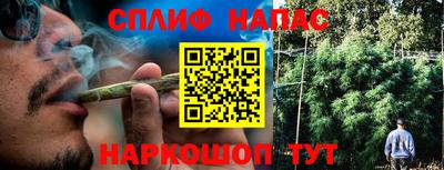 альфа пвп Новокубанск