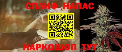 альфа пвп Новокубанск