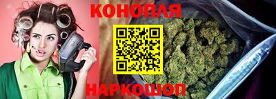 альфа пвп Новокубанск