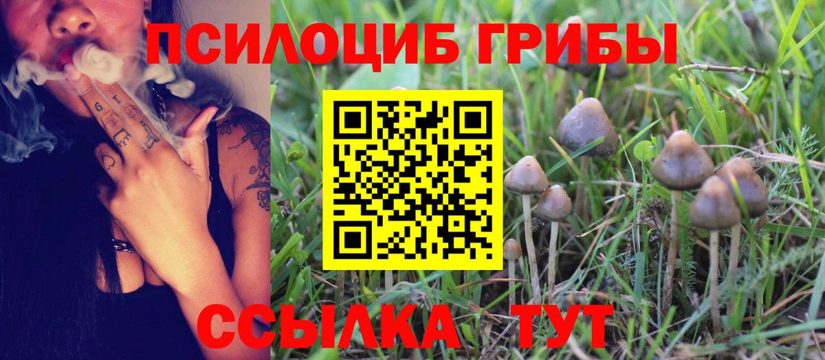 Урюпинск  Псилоцибиновые грибы Psilocybine cubensis  Вход с VPN 